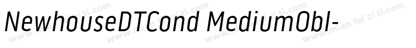 NewhouseDTCond MediumObl字体转换